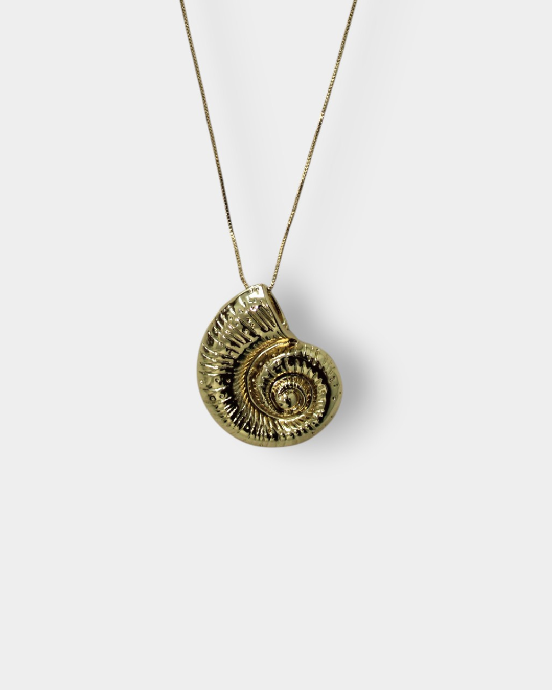 Shell Necklace
